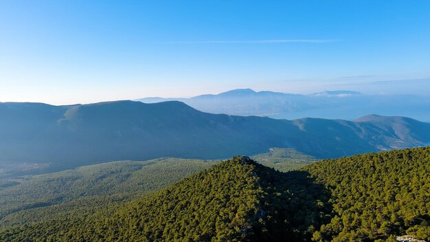 Aleppo pine. Mountain forest from above.