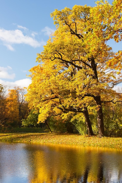 Alexander Park in autumn in October Background