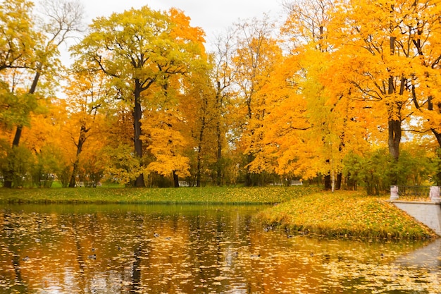 Alexander park in autunno. con foglie colorate luminose