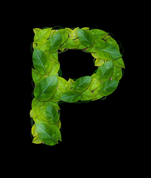 Alfabetletters van bladeren