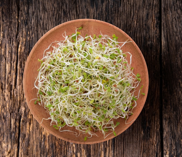 Alfalfa Sprout in houten plaat op houten tafel