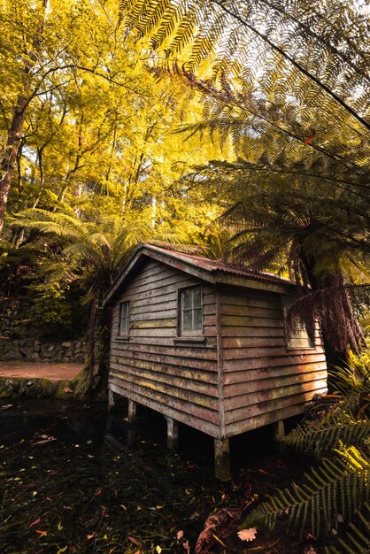 Alfred Nicholas Memorial Gardens op een warme zonnige herfstdag in de Dandenongs regoion van Sassafras Victoria Australië