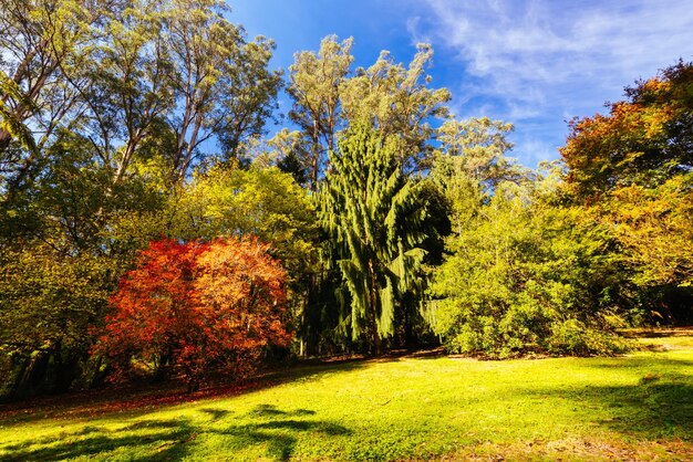 Photo alfred nicholas memorial gardens on a warm sunny autumn day in the dandenongs regoion of sassafras victoria australia