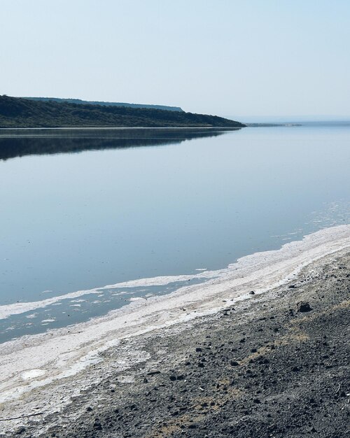 Photo algae at lake magadi rift valley kenya