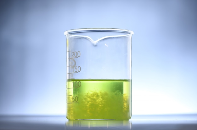 Algae research in laboratories, biotechnology science concept