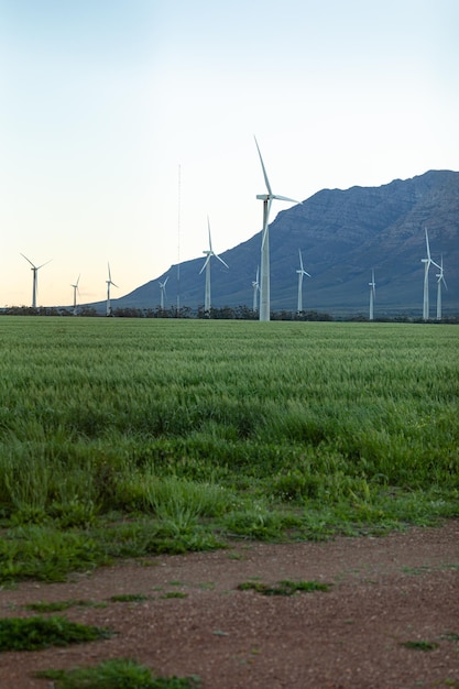 Algemeen beeld van windturbines in plattelandslandschap met wolkenloze hemel. milieu, duurzaamheid, ecologie, hernieuwbare energie, opwarming van de aarde en bewustzijn van klimaatverandering.