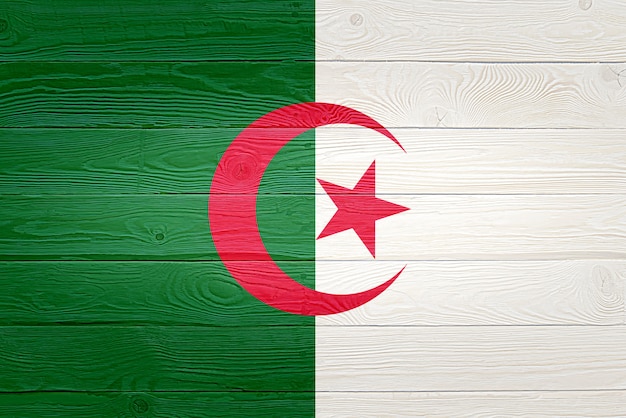 Algeria flag painted on old wood plank background