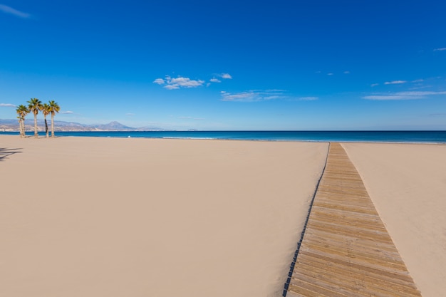 Alicante San Juan strand met palmen bomen van de Middellandse Zee