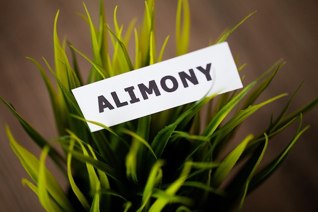 Alimony written on white card