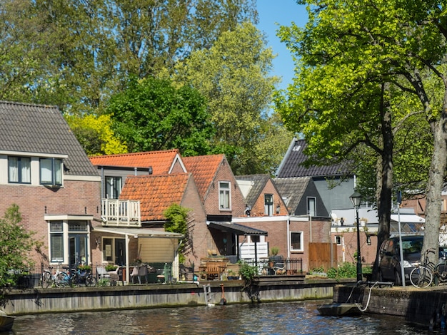 Foto alkmaar