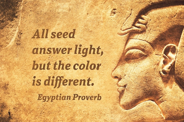 All seed answer light, but the color is different  - ancient Egyptian Proverb citation