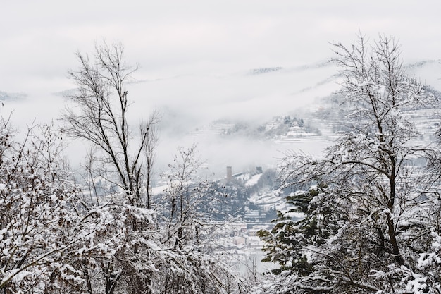 写真 イタリア北部の雪と霧に覆われた真っ白な風景。