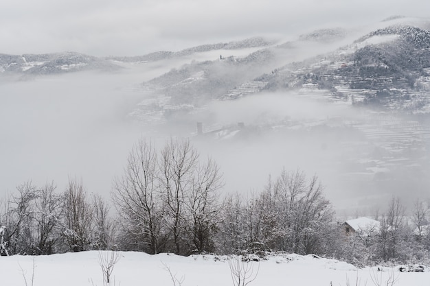 写真 イタリア北部の雪と霧に覆われた真っ白な風景。