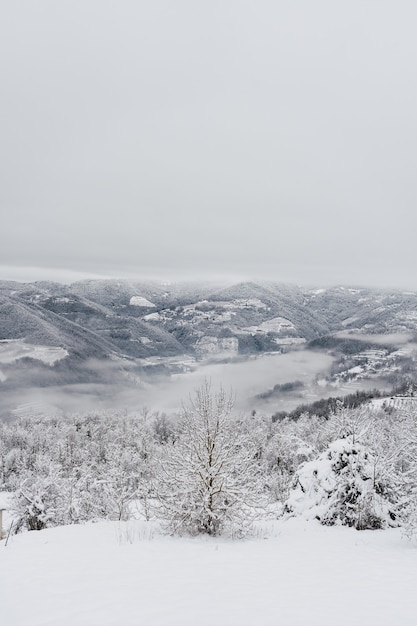 All-white landscape covered by snow and fog in northern Italy.