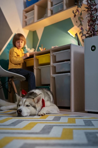 Allergy child pet dog and air purifier in childrens room