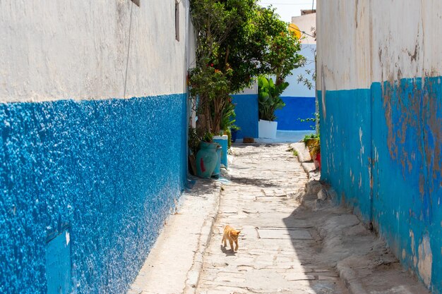 Alley amidst buildings in city