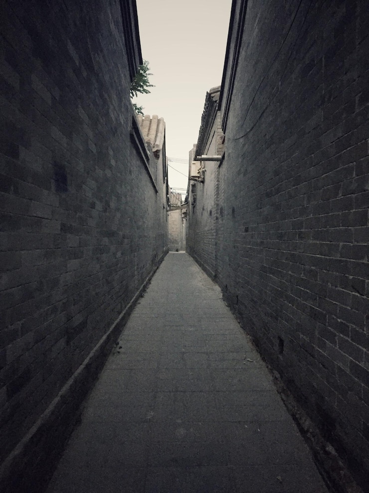 Photo alley amidst house
