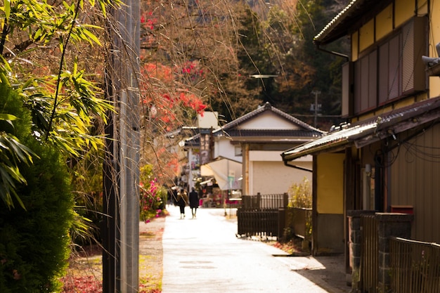 写真 街の家や建物の中の小道