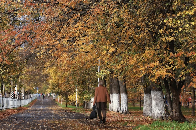 Photo alley in autumn park landscape, fall yellow road seasonal landscape in october in the city