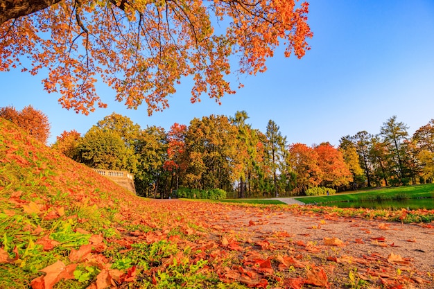 秋の公園の路地季節は秋9月10月11月