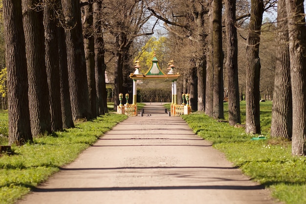 Alley to the Chinese bridge in Pushkin in Alexander Park