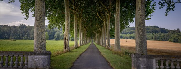 フランスの路地