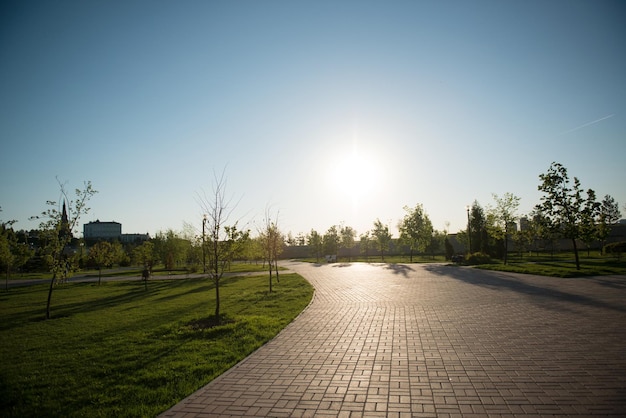 Alley going into the distance a park in the city of Kazan