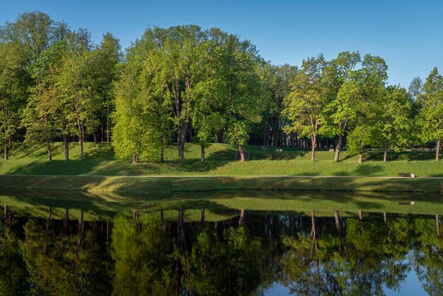 Alley langs Karpin Pond in Gatchina Park op een zonnige zomerdag Gatchina Leningrad Region Rusland