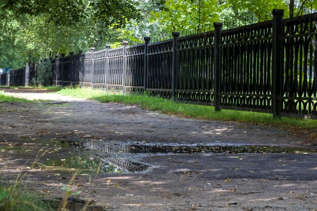 Аллея в парке вдоль кованого забора