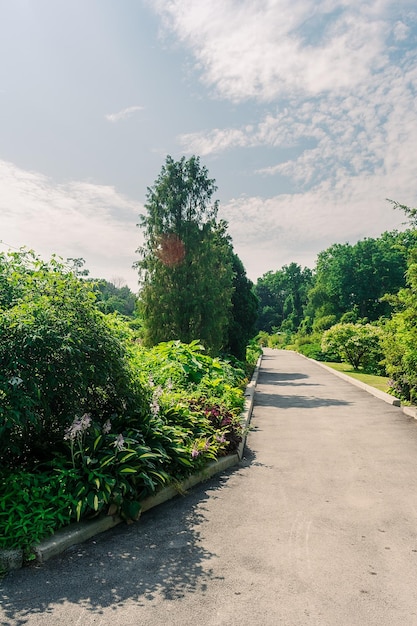 茂った緑の植生と花の間にある公園の小道多くの植物と花の庭