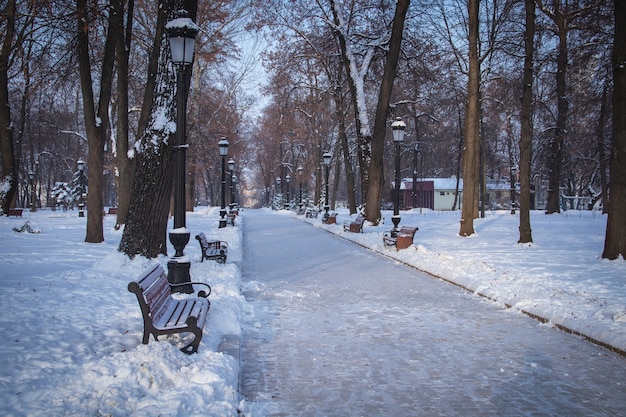 キエフの公園の路地