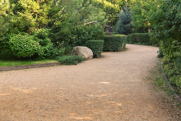 Alley in the park among trimmed bushes and trees Landscaping