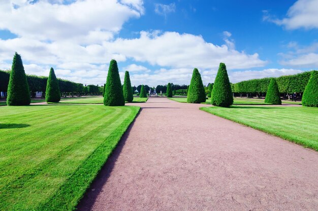 Alley of the upper garden of Peterhof