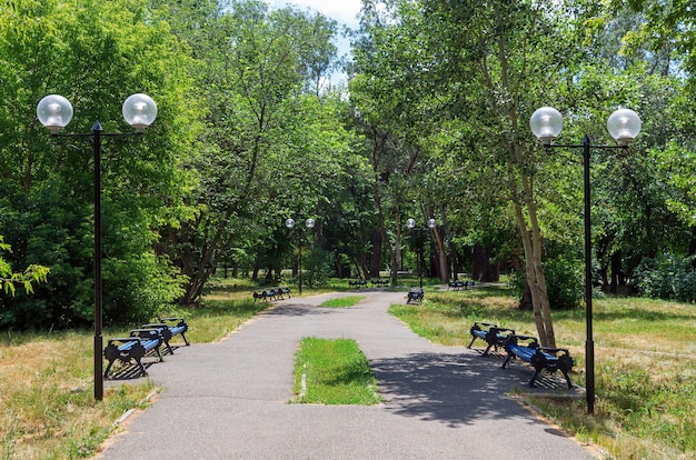 Аллея с пустыми скамейками в летнем парке