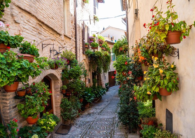 alley with flowers in the town of Spello