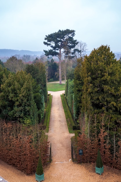 Vicolo con la linea del percorso degli alberi al giardino di versailles in inverno. francia.