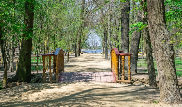 Alleys on the territory of Askania-Nova