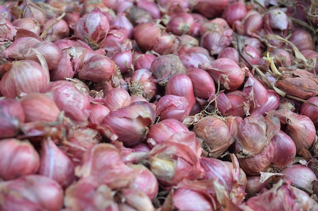 Фото allium cepa var ascalonicum или красный лук на рынке таиланда.