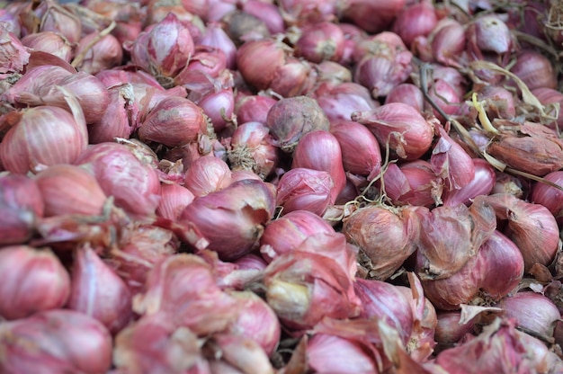 Foto allium cepa var ascalonicum o cipolle rosse nella piazza del mercato della thailandia.