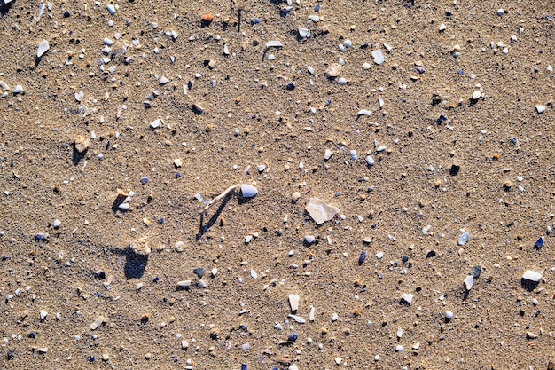 페니스콜라 해변의 모래의 자연스러운 세부 사항