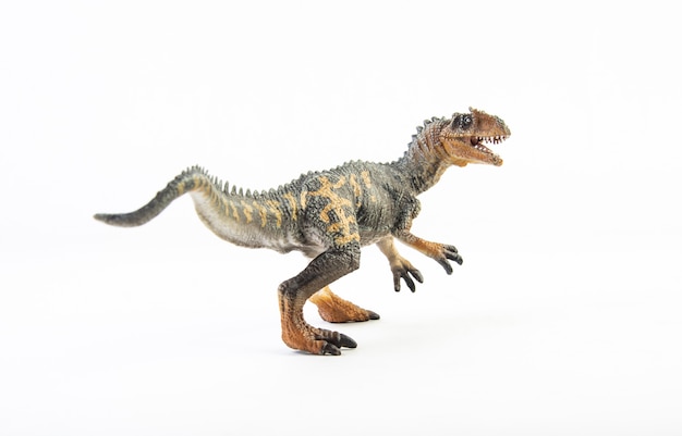 Allosaurus, dinosaurus geïsoleerd