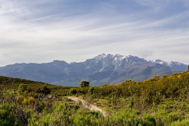 Almanzor-piek in de Gredos-berg op een zonnige dag Kopieer de ruimte Selectieve focus