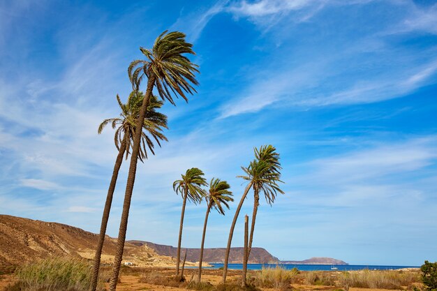 Almeria Cabo de Gata Het strand van Playazo Rodalquilar