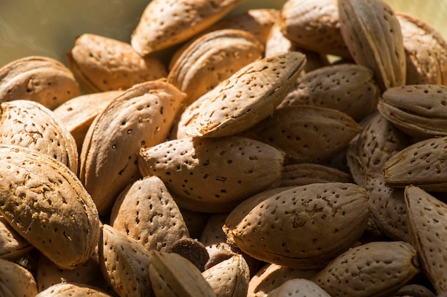 Almond closeup almond with shell