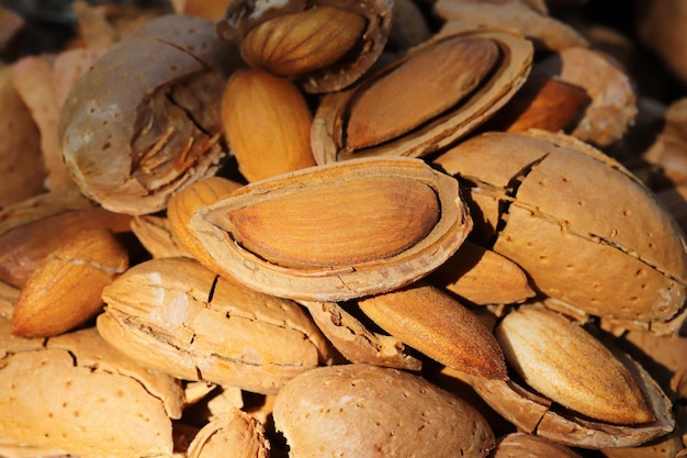 Almond harvest time broken almonds