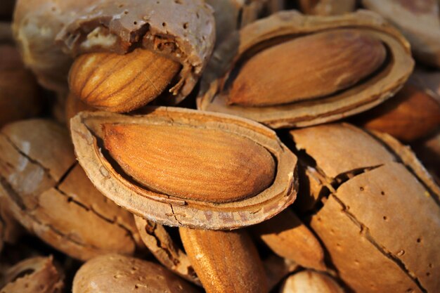 Almond harvest time broken almonds