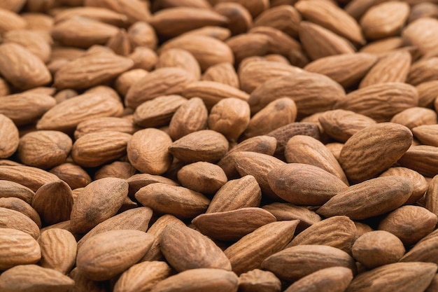 Photo almond nut food background full frame