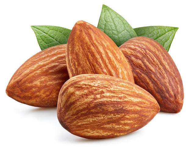 Almond nut isolated with clipping path