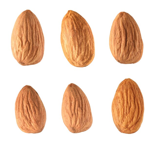 almond set isolated on white background