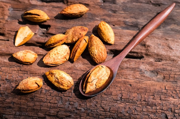 Almonds on old wood